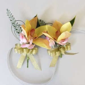 Butterfly orchid is always elegant