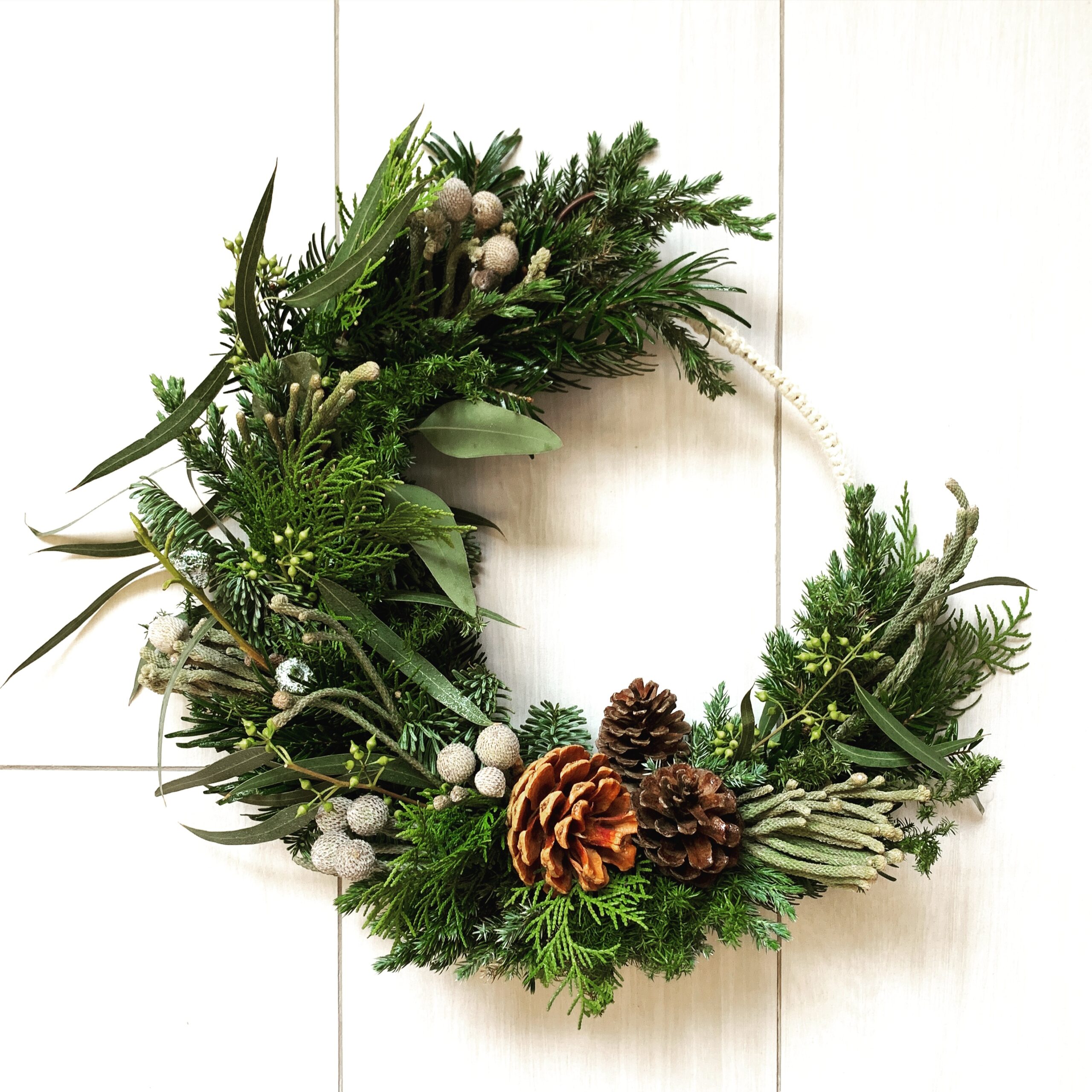 Crescent Moon Winter Forest