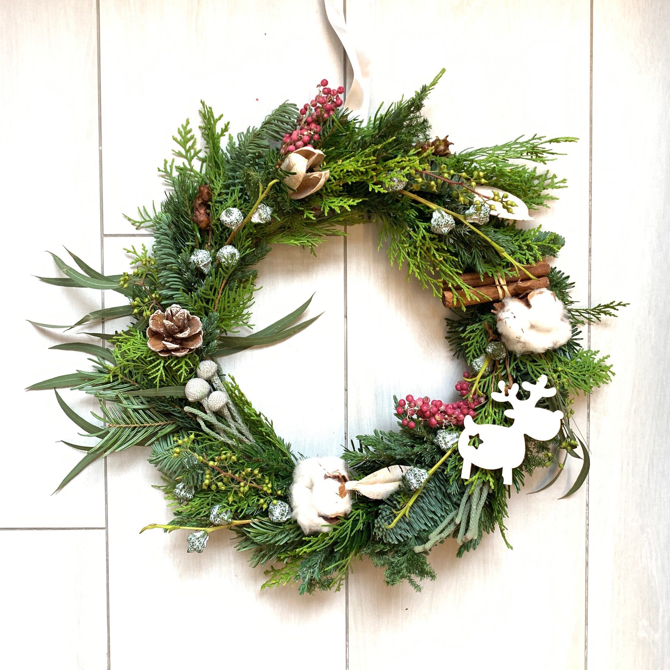 Full Moon Winter Forest